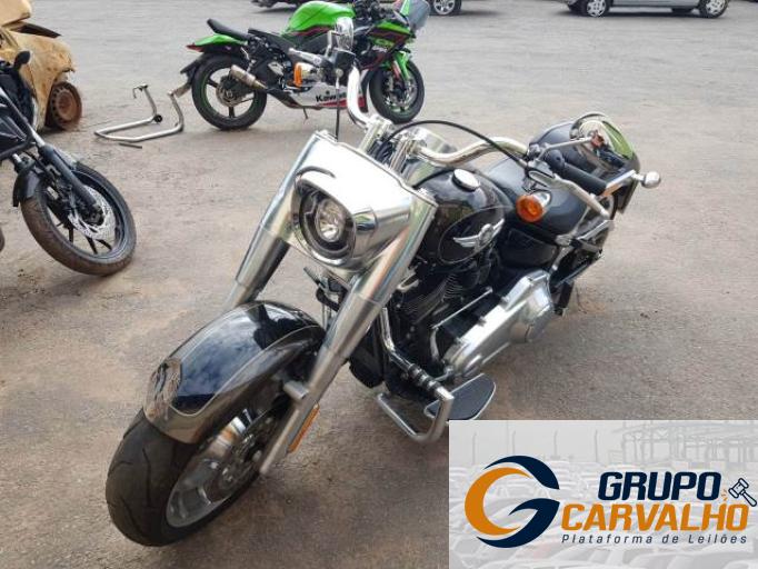 HARLEY DAVIDSON SOFTAIL 20/20